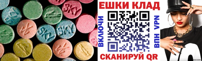 Ecstasy Philipp Plein  Минеральные Воды 