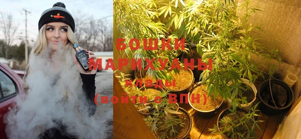 сатива Кукмор