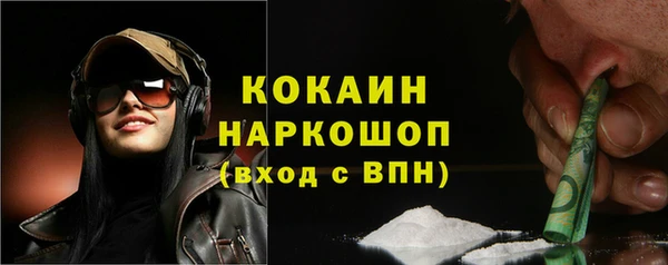 сатива Кукмор