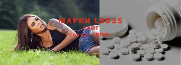 ПСИЛОЦИБИНОВЫЕ ГРИБЫ Кулебаки