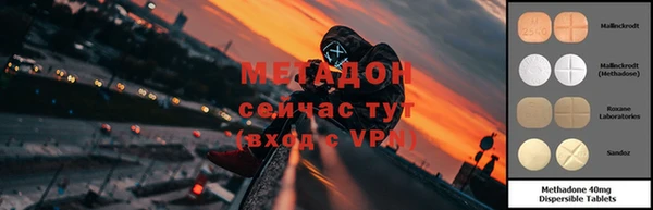 сатива Кукмор