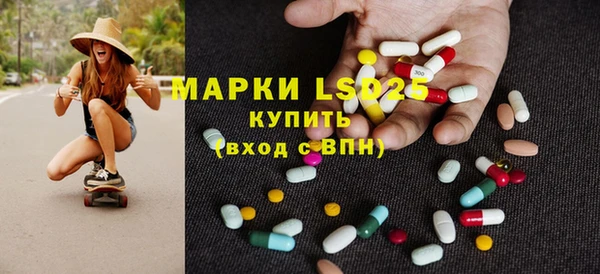 сатива Кукмор