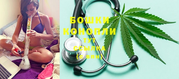 скорость Вяземский