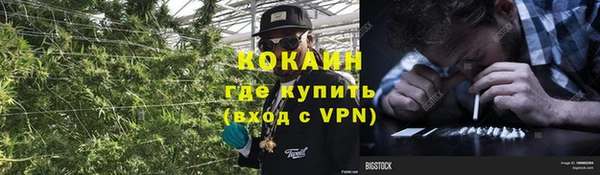 сатива Кукмор