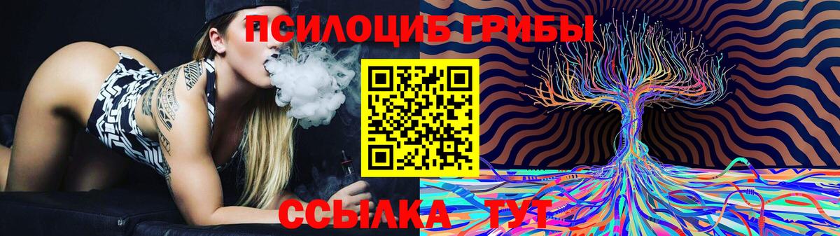 Псилоцибиновые грибы GOLDEN TEACHER  цены наркотик  Минеральные Воды 