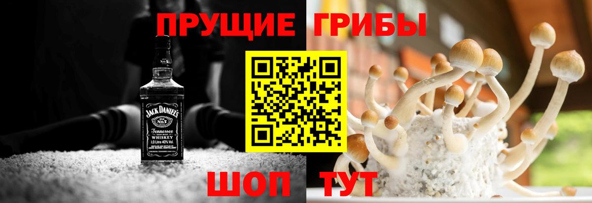 Галлюциногенные грибы мицелий Минеральные Воды