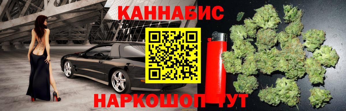 Каннабис сатива Минеральные Воды